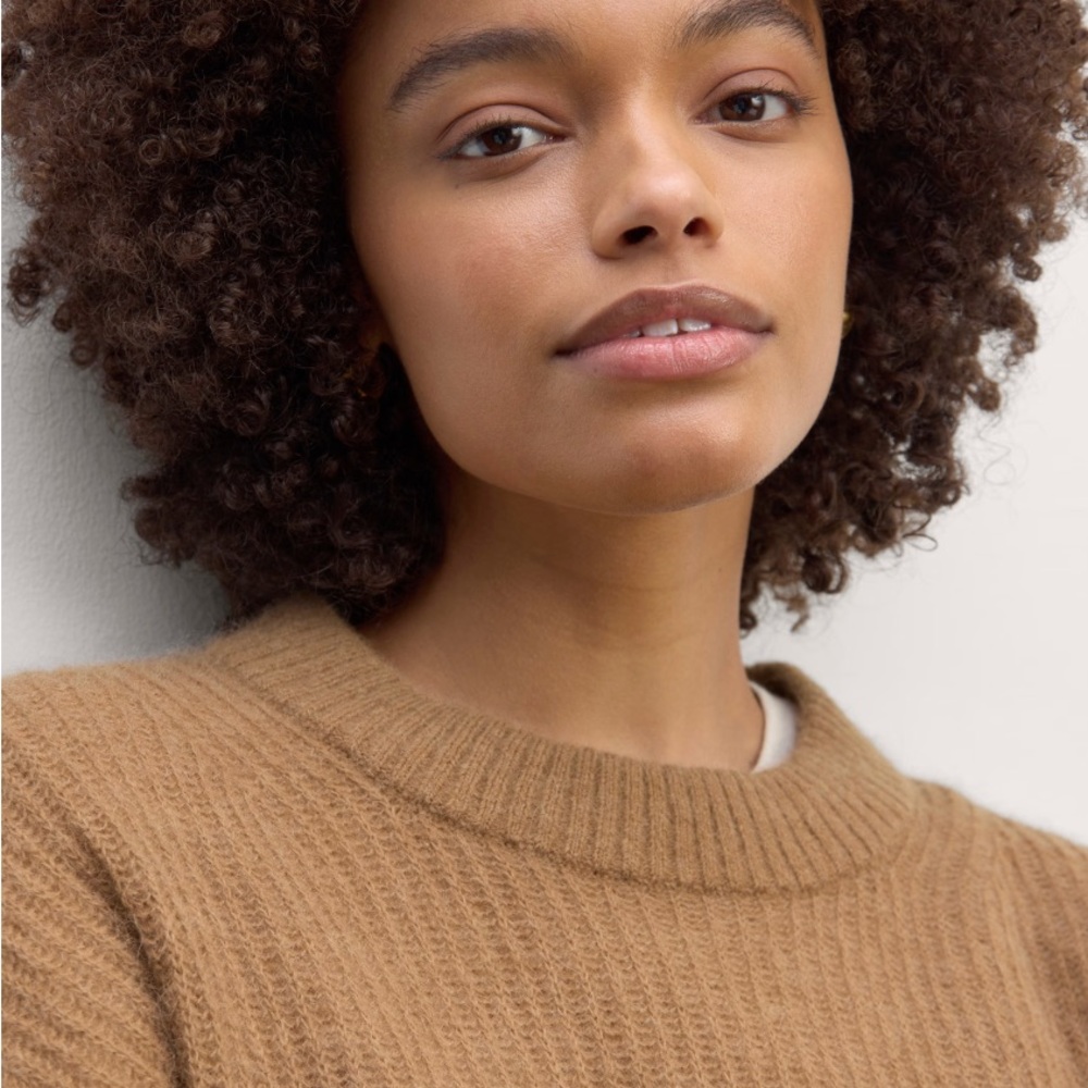 ✨SALE✨ Everlane Cocoon Crew Alpaca Sweater - Picture 8 of 9